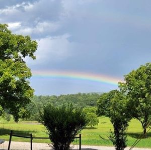 Meet your Posher, Patty